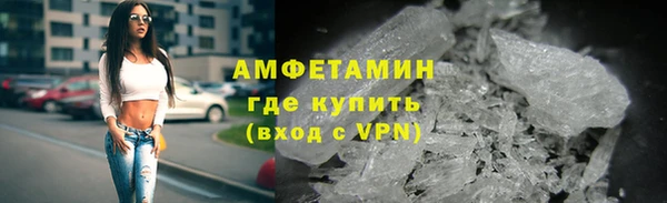 гидра Абаза