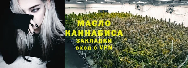 гидра Абаза