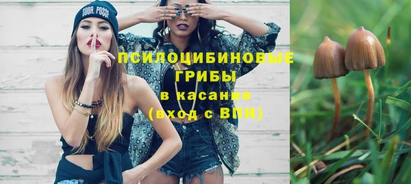 гидра Абаза