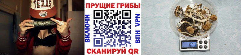 Галлюциногенные грибы прущие грибы  купить закладку  Горячеводский 